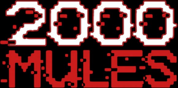 2000 Mules