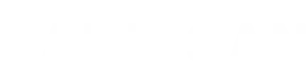 The Partisan