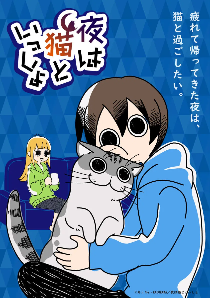 Nights with a Cat