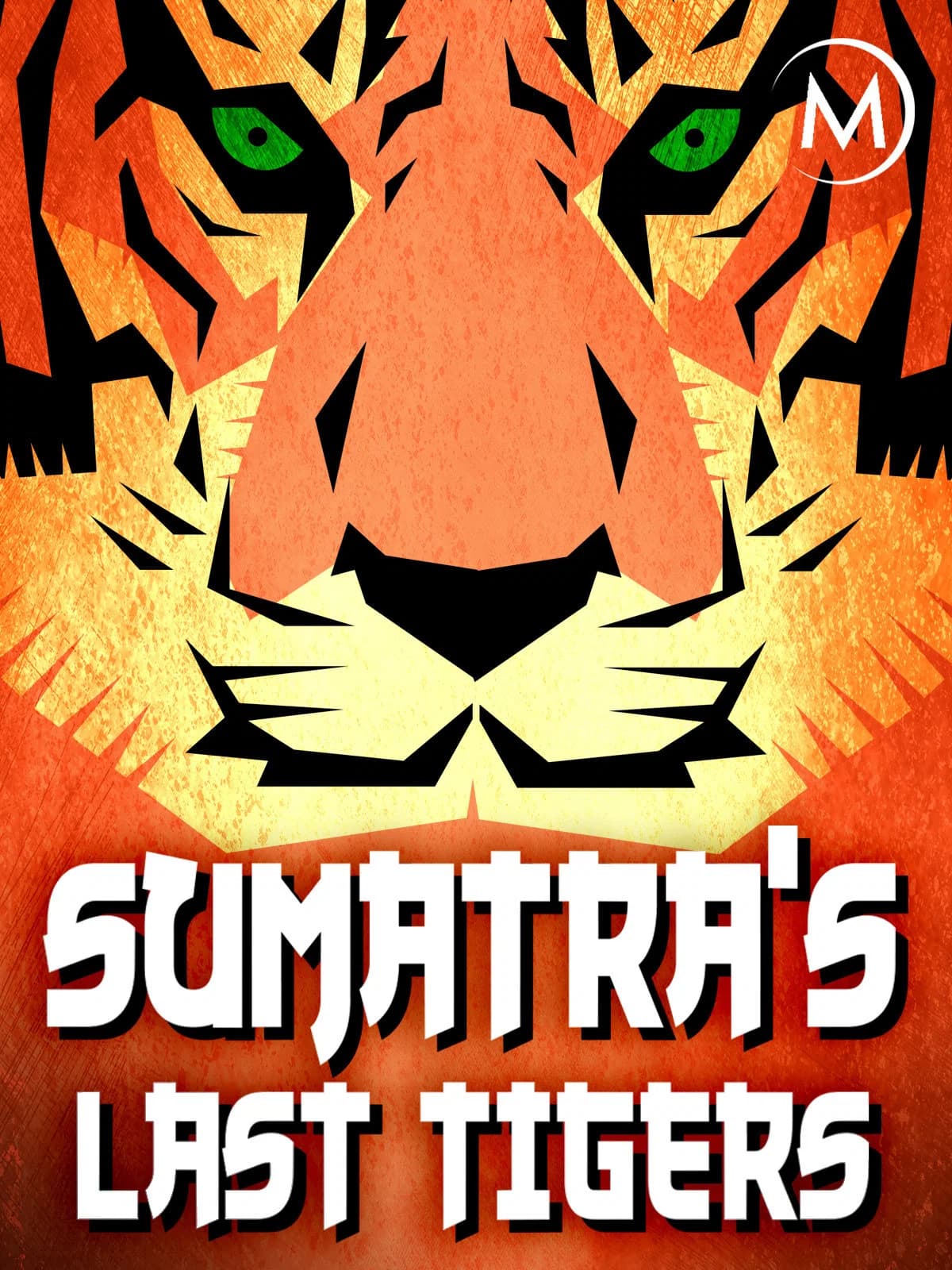 Sumatra's Last Tigers